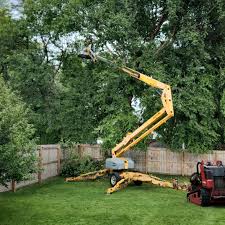 Best Emergency Tree Removal  in Aldan, PA