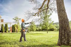 Best Lawn Mowing  in Aldan, PA